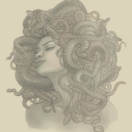 Medusa - value | Digital, 2015